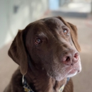 The Pet Clinic of Bradenton