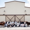 George Ingalls Equestrian Event Center gallery