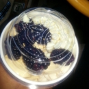 YogurtLand