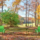 Oakland Hills Apartments - Apartments