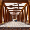 Consolidated Contracting Services gallery