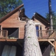 Adirondack Tree Surgeons Inc