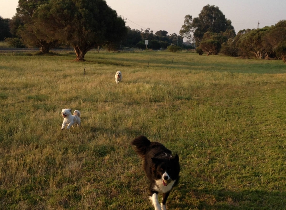 City Dogs Rural Retreat - Nambeelup, WA