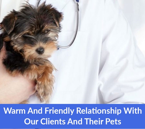 Halls Head Small Animal Clinic - Halls Head, WA. Warm And Friendly Relationship With Our Clients And Their Pets