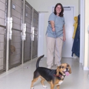 Abbott Animal Hospital - Veterinary Clinics & Hospitals