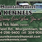 Mountain Laurel Kennels