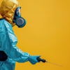 Alpine Termite and Pest Control gallery