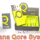 Wellness1 Qivana