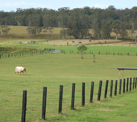 Macleay Valley Veterinary Services - Kempsey, NSW