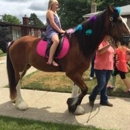 Chamberlin Pony Rides - Pony Rides