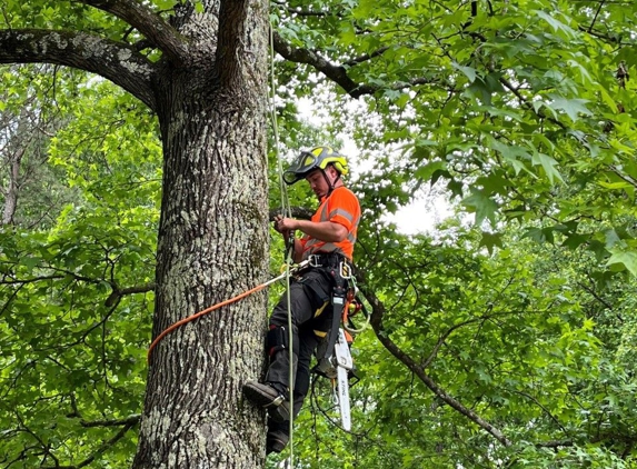 Arborall Tree Service - Flowery Branch, GA