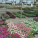 Dabney Nursery - Nurseries-Plants & Trees