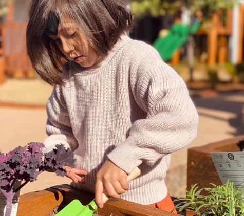 Lochinvar Learning Early Education, Care and Preschool - Lochinvar, NSW