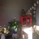 Asia Massage - Massage Services