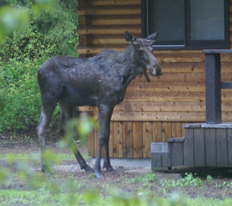 Glacier Wilderness Resort - West Glacier, MT