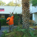 Florida all Outdoor services - Landscaping & Lawn Services