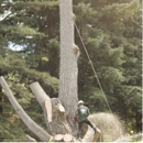 Waraner Bros. Tree Service - Tree Service