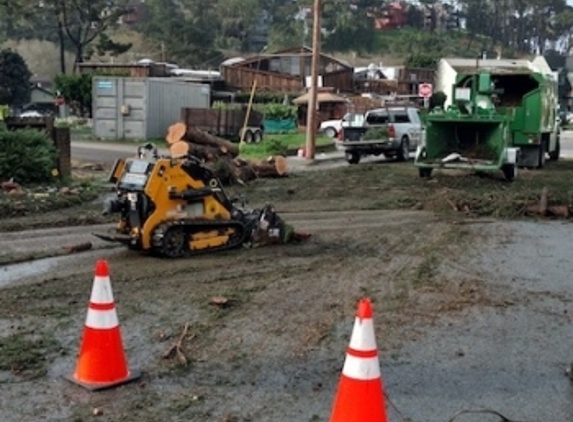 Big Tree - Cambria, CA. Land Clearing Emergency