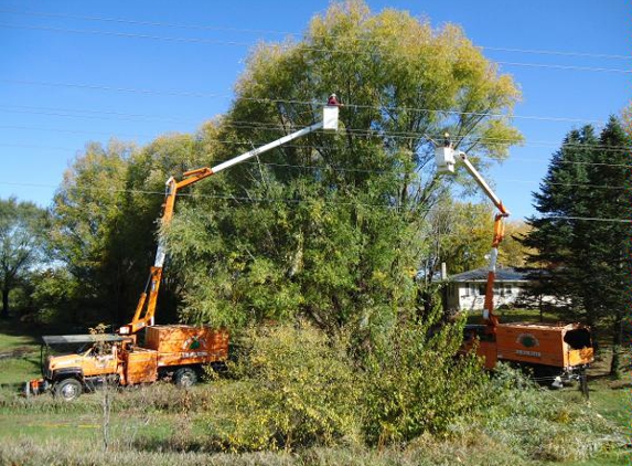 Randalls Tree Service - Waterloo, IA