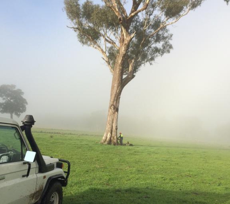 Curtis Tree Lopping Specialists - West Wodonga, VIC