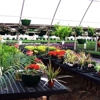 Greenway Nursery & Landscaping gallery