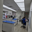 VCA Bristol Animal Hospital - Veterinarians