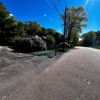 Reilly Tree & Landscape gallery