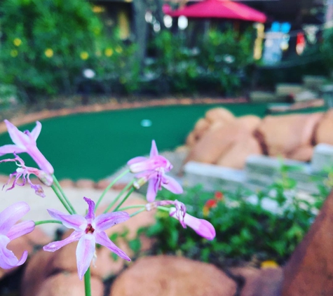 Congo River Golf - Clearwater, FL