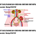 Dr. Abhay V Rao, MD