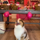 Woof Gang Bakery & Grooming Aventura - Pet Grooming