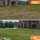 All Turf - Landscaping & Lawn Services