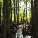 Wheeler National Wildlife - Wildlife Refuge