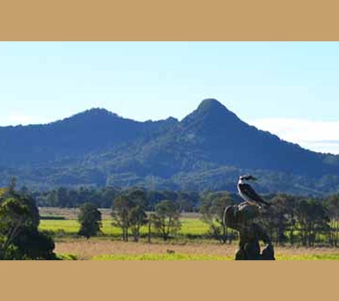 Byron Shire Council
