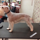 The Pampered Pooch - Pet Grooming