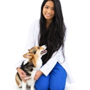 CityVet | Oak Lawn Veterinary Clinic & Urgent Care