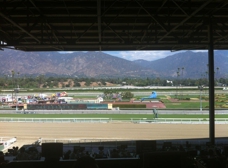 Los Angeles Turf Club Inc - Arcadia, CA 91007