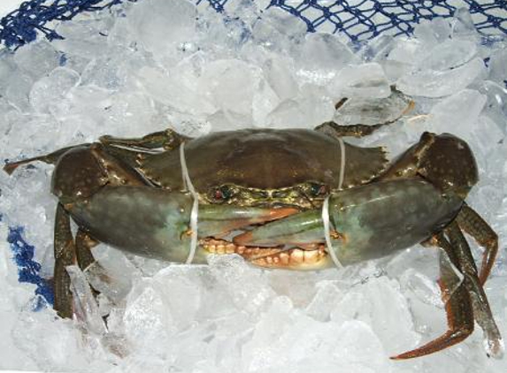 Urangan Fisheries - Urangan, QLD