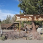 Hayden Cabin/Mammoth Museum