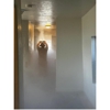 Fresno Mold Busters gallery