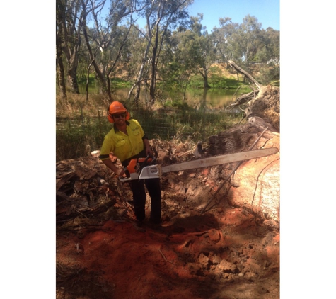 Curtis Tree Lopping Specialists - West Wodonga, VIC