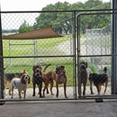 Sunset Acres Dog Ranch - Pet Boarding & Kennels