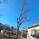 Robinsons Tree Service