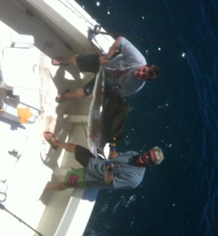 Marlin My Darlin Sport Fishing 801 Seabreeze Blvd Fort Lauderdale Fl Yp Com