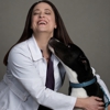 CityVet | McKinney gallery