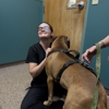 Eastfield Veterinary Wellness & Urgent Care gallery