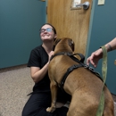 Eastfield Veterinary Wellness & Urgent Care - Pet Services
