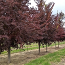 North Branch Nursery