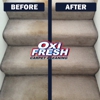 Oxi Fresh Carpet Cleaning Headquarters gallery
