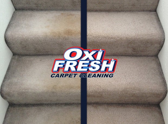 Oxi Fresh Carpet Cleaning