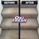 Oxi Fresh Carpet Cleaning